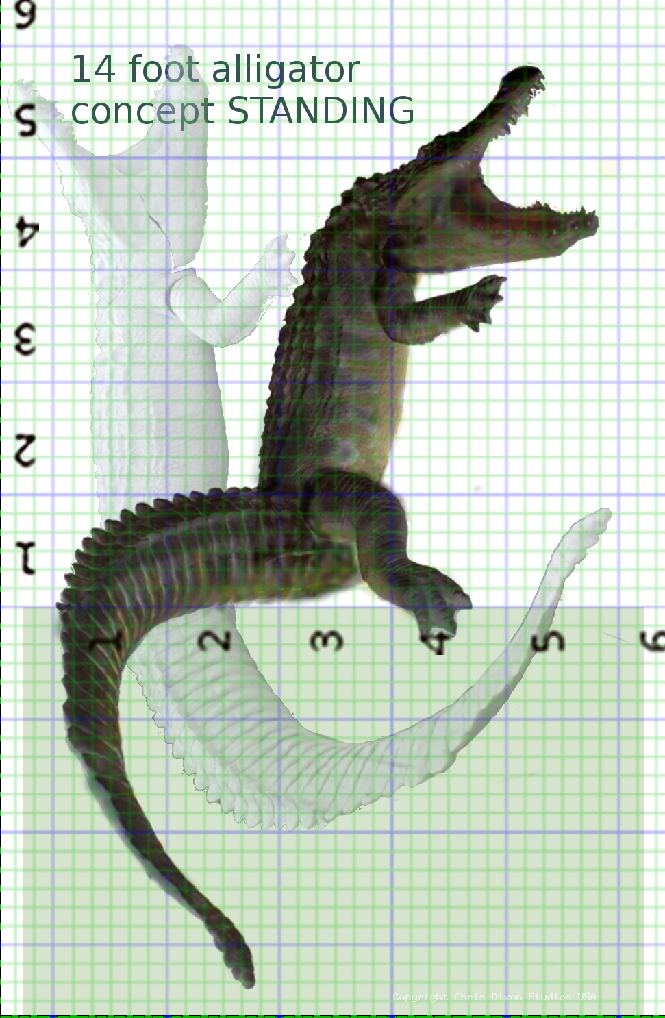 13ft Alligator STANDING