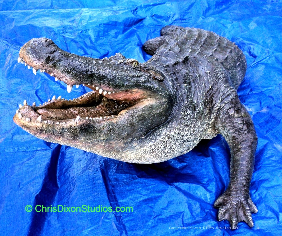 Alligator 15ftPtl 23