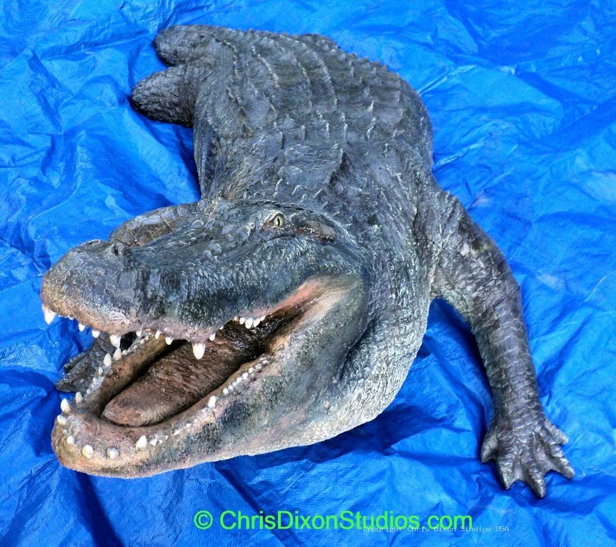 Alligator 15ftPtl 33