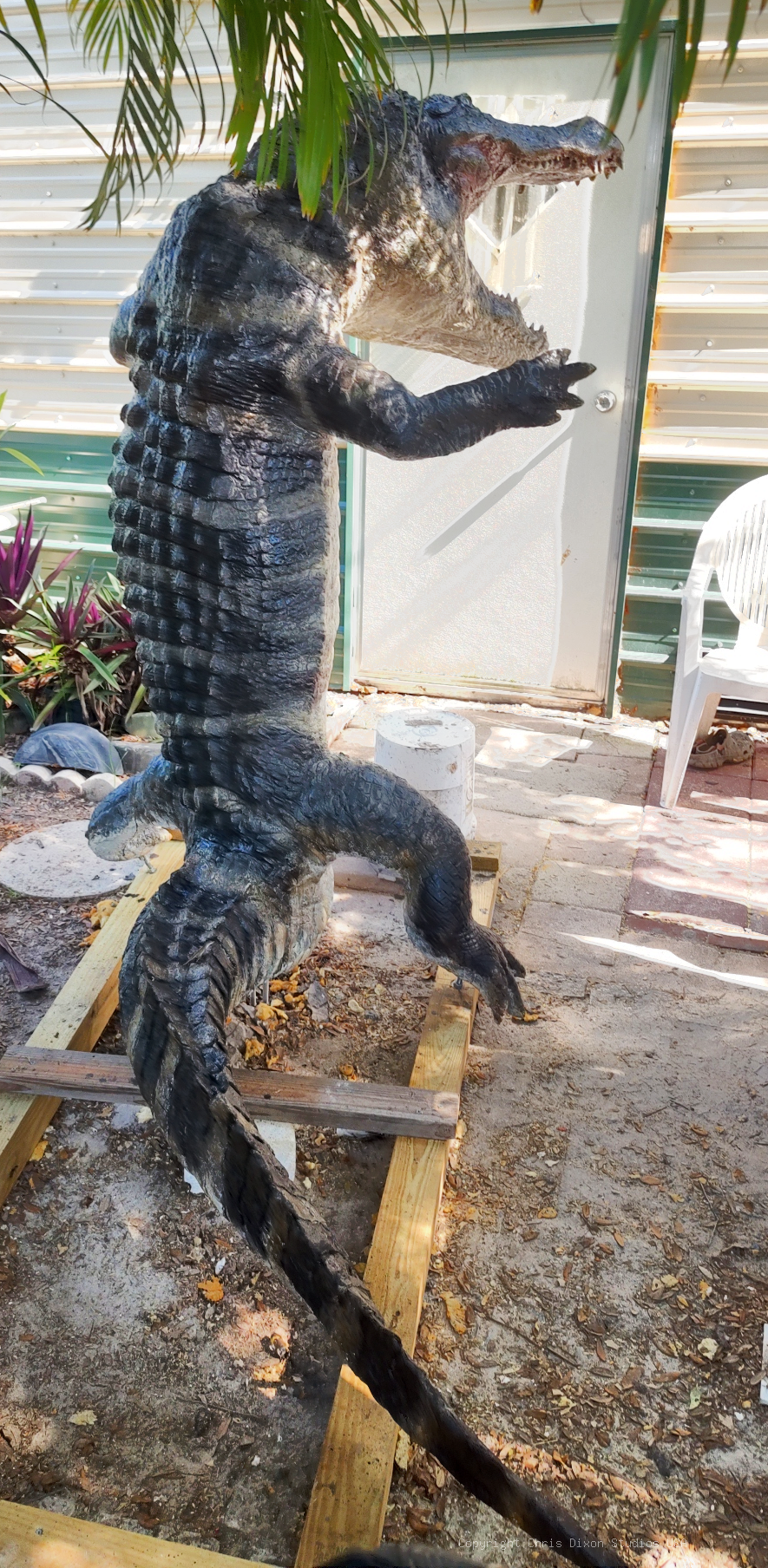 Alligator13ftStand 933