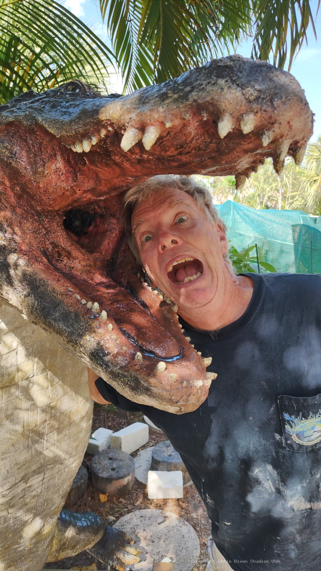 Alligator13ftStand117