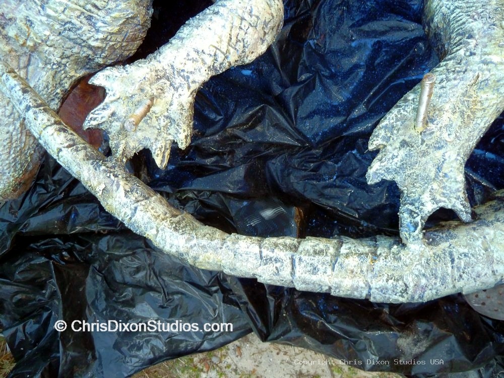 Alligator Curled14ft 185