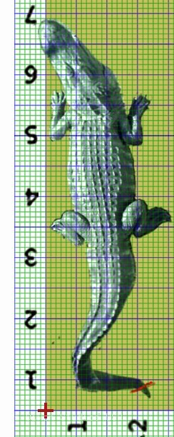 Alligator8ft Parcel LEFT