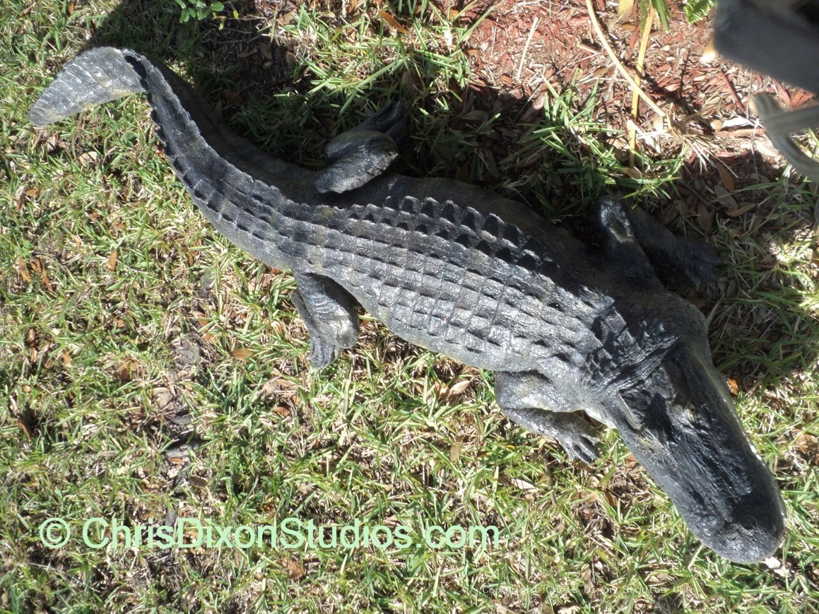 Alligator8ft Parcel RIGHT183