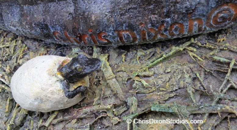 Alligator Egg Hatch 445