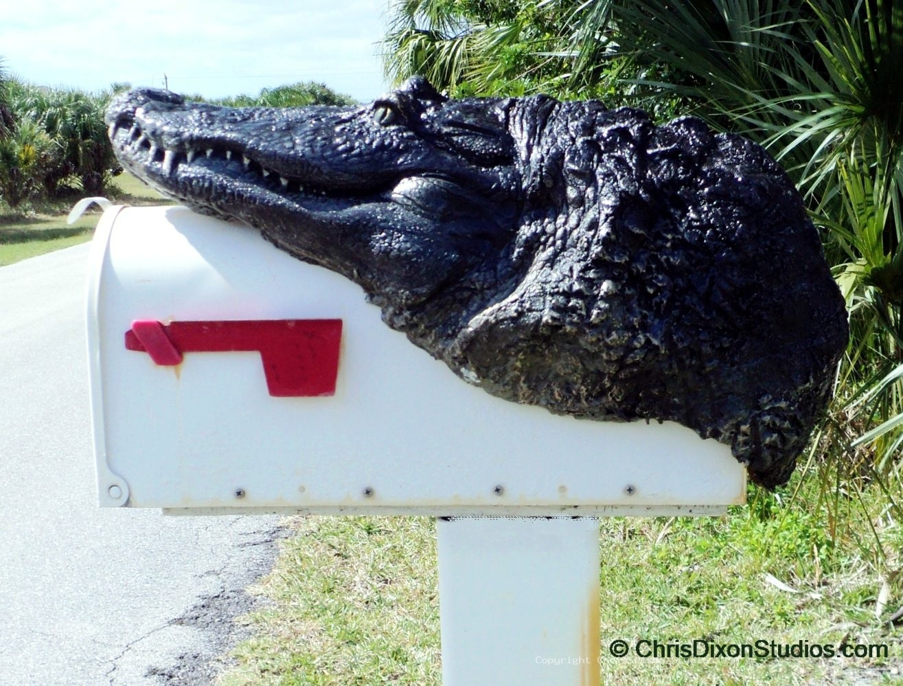 Alligator8ft MAILBOX Head 91