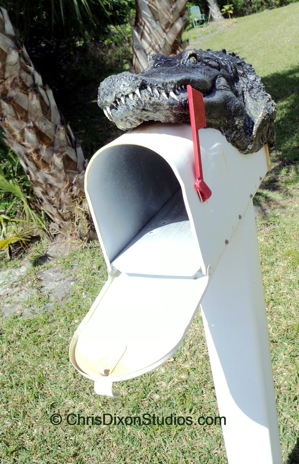 Alligator8ft MAILBOX Head 99