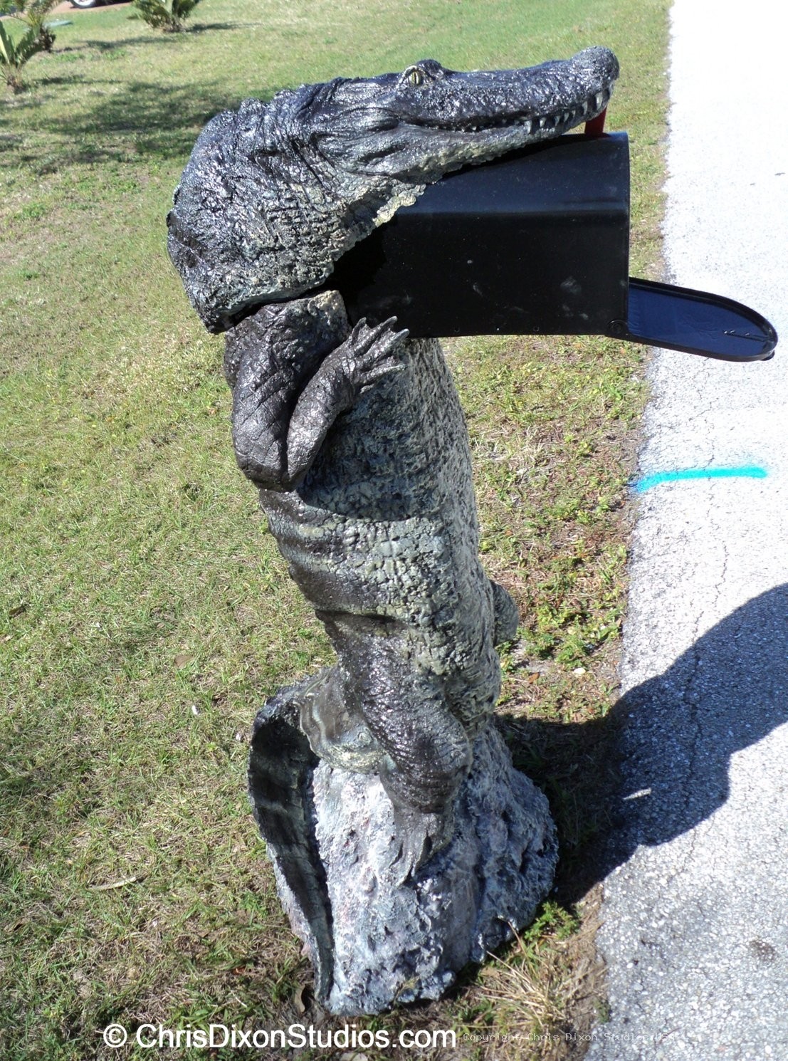 Alligator8ft MAILBOX PARCEL 51