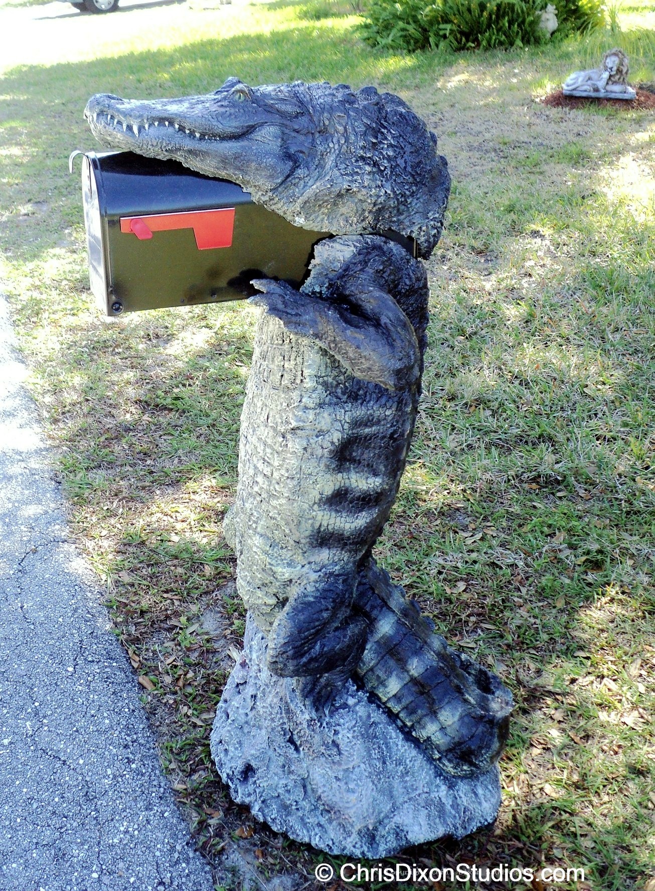 Alligator8ft MAILBOX PARCEL 63