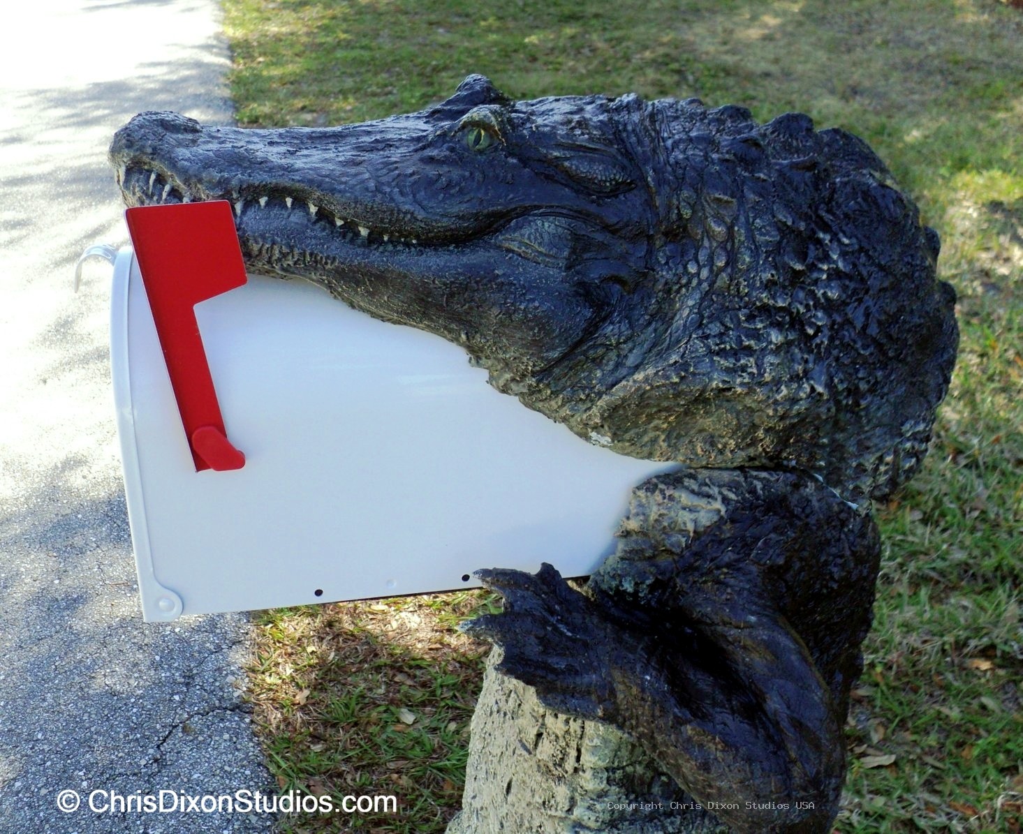 Alligator8ft MAILBOX PARCEL 78
