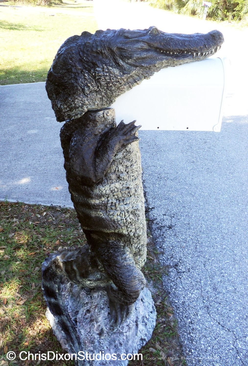 Alligator8ft MAILBOX PARCEL 82