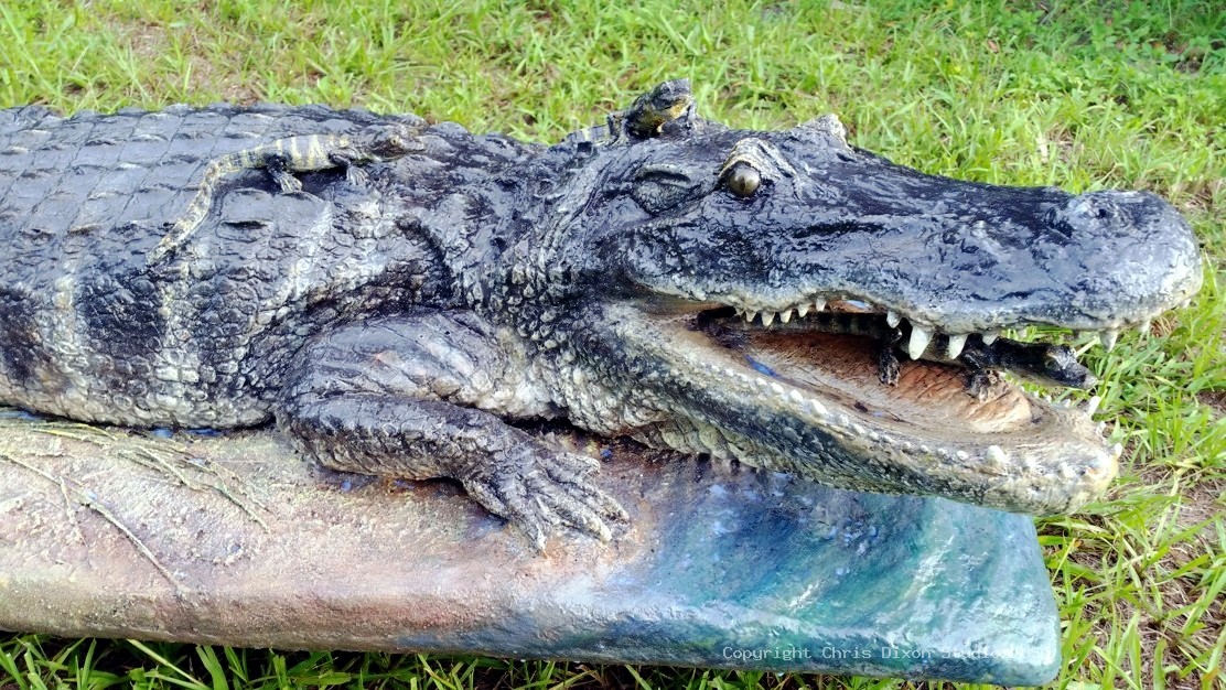 Alligator Nest 7ft 110