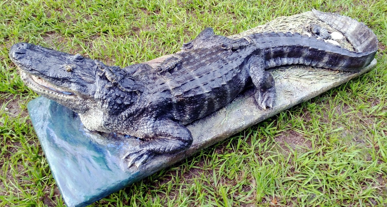 Alligator Nest 7ft 112