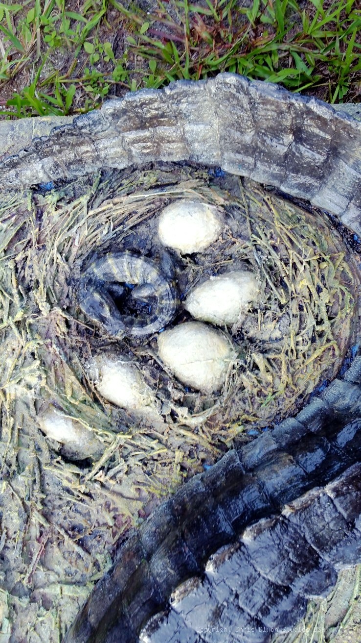 Alligator Nest 7ft 114