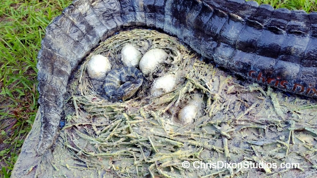 Alligator Nest 7ft 119