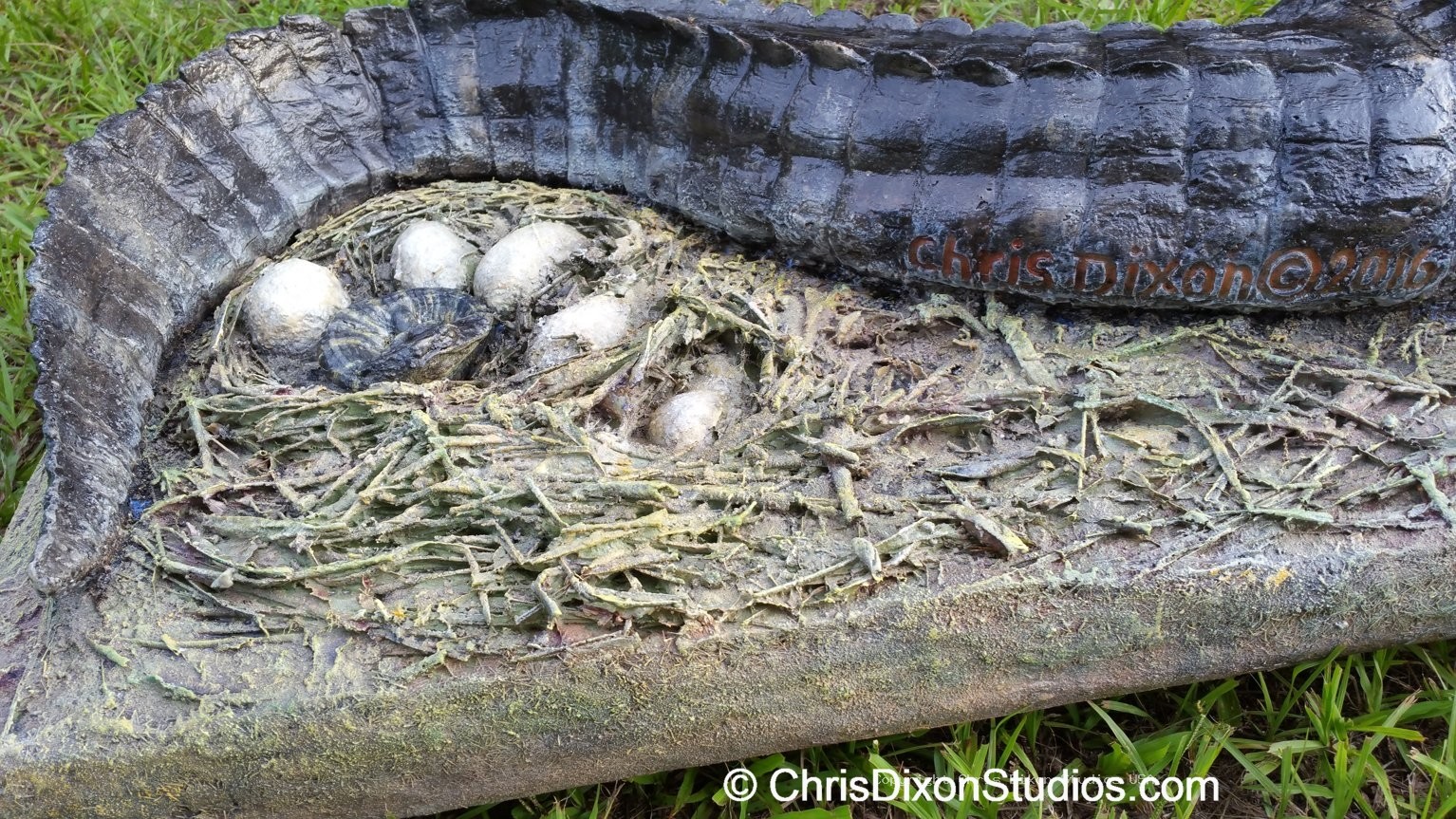 Alligator Nest 7ft 120