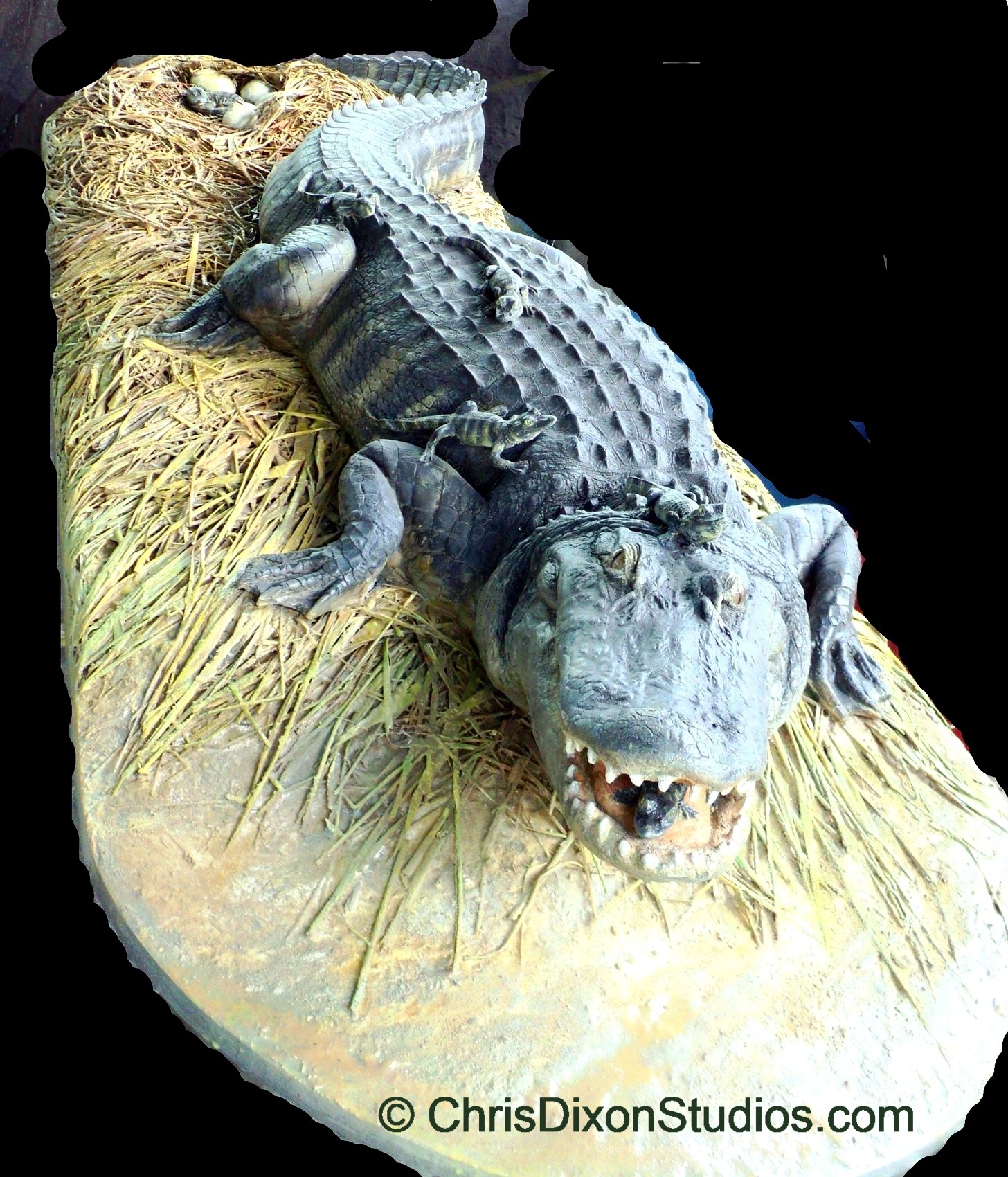 Alligator Nest Finished 65