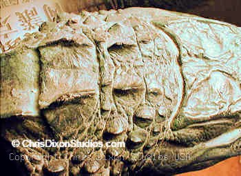 14 1 Alligatorskinhead350255dixon