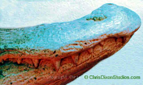 14 1 Alligatorsnooteeth500296dixon