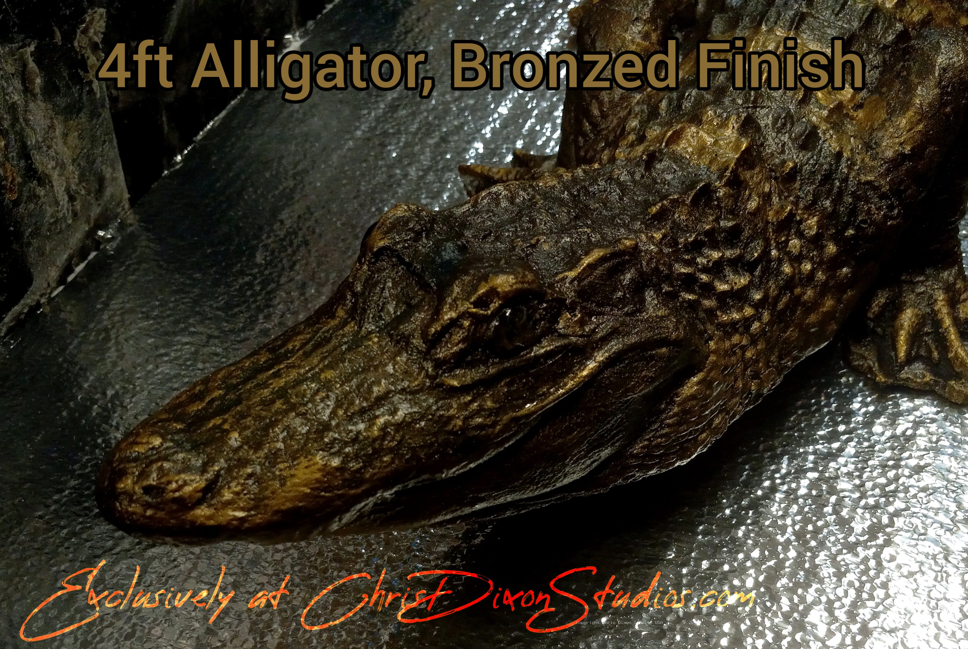 14 2a Alligator 942