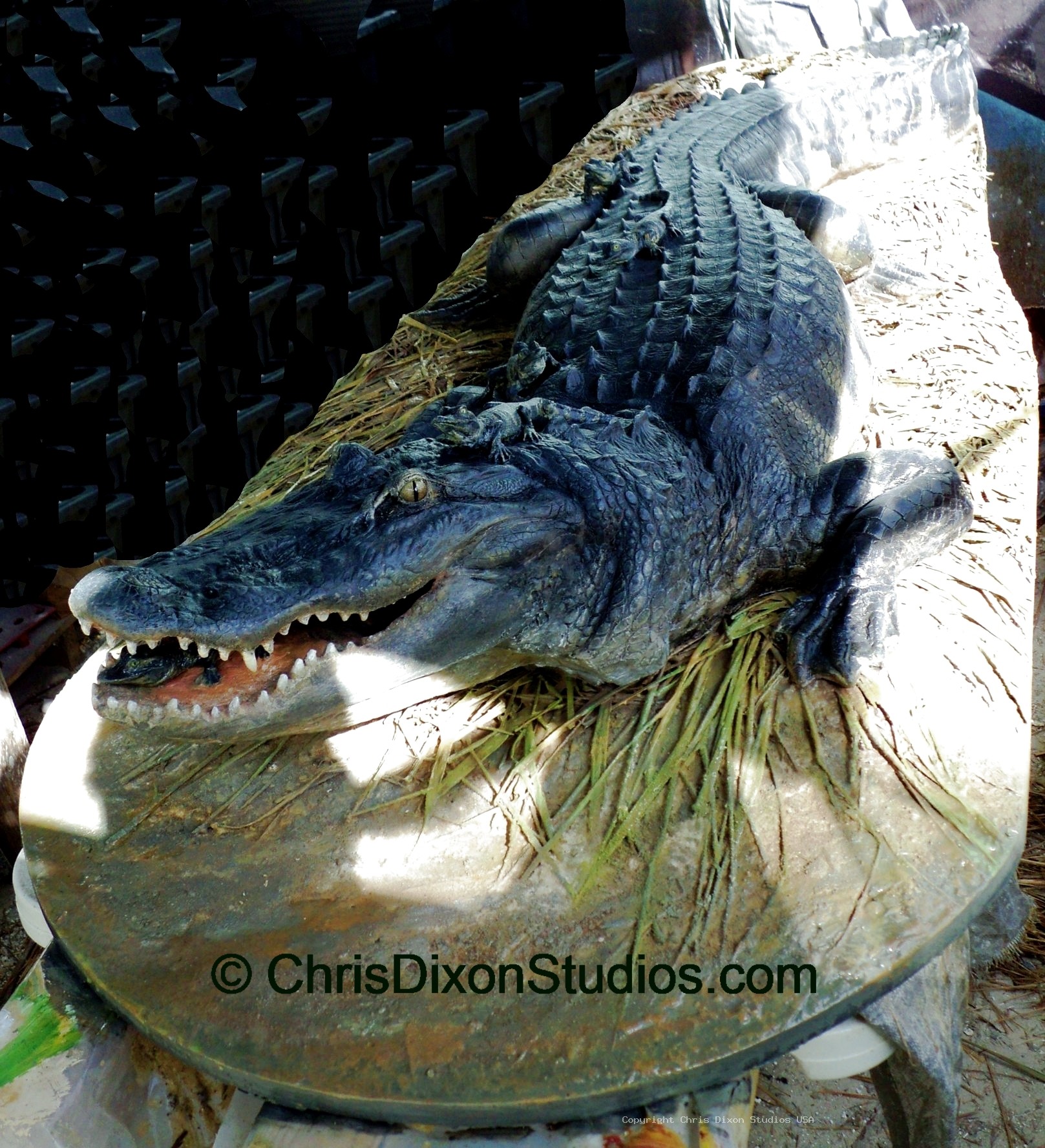 Alligator Nest Finished 42