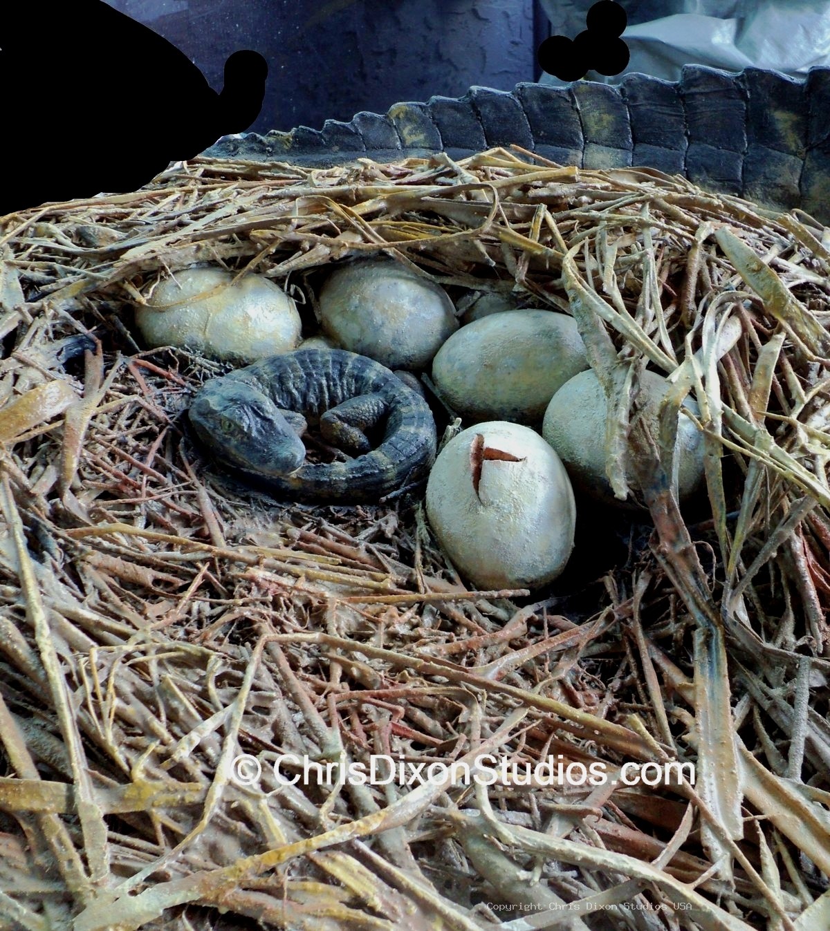 Alligator Nest Finished 66