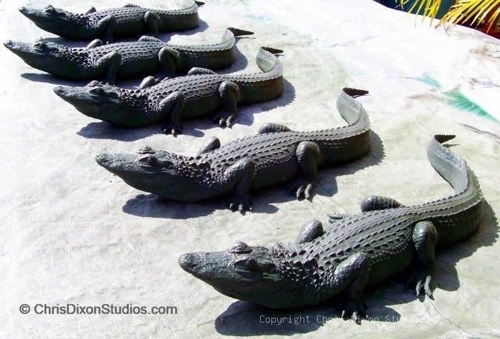 Alligators 5gators 3 4ft