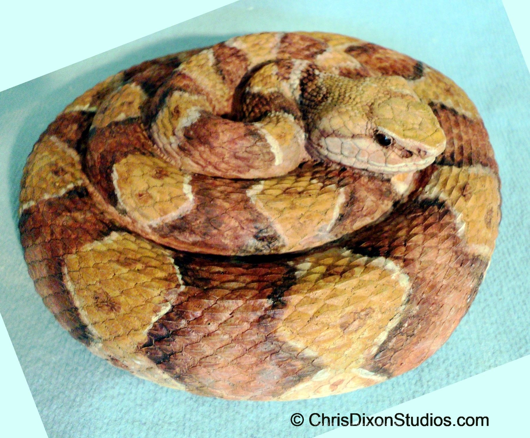Copperhead2