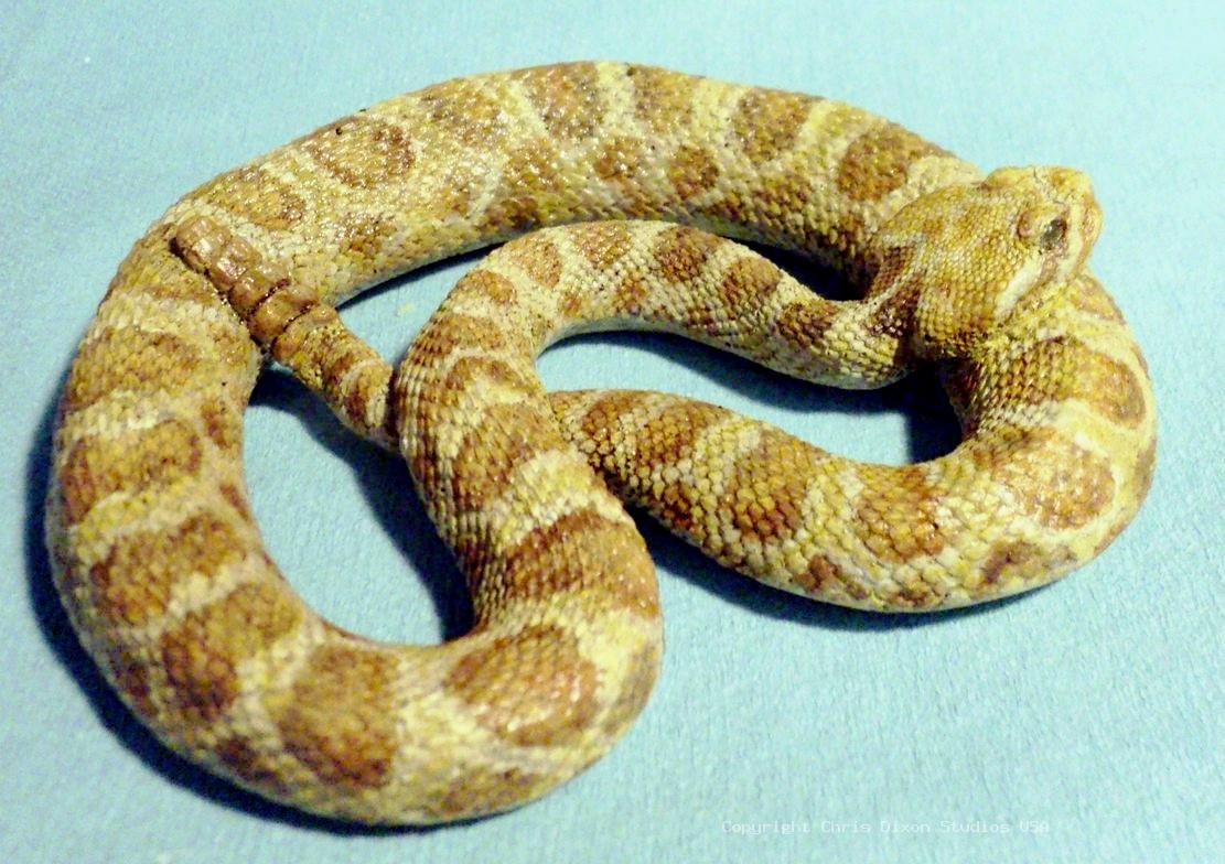 Rattlesnake Prairie 79