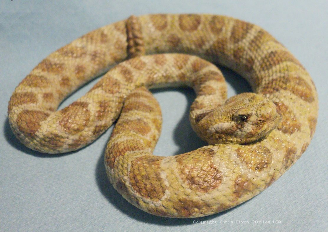 Rattlesnake Prairie 83