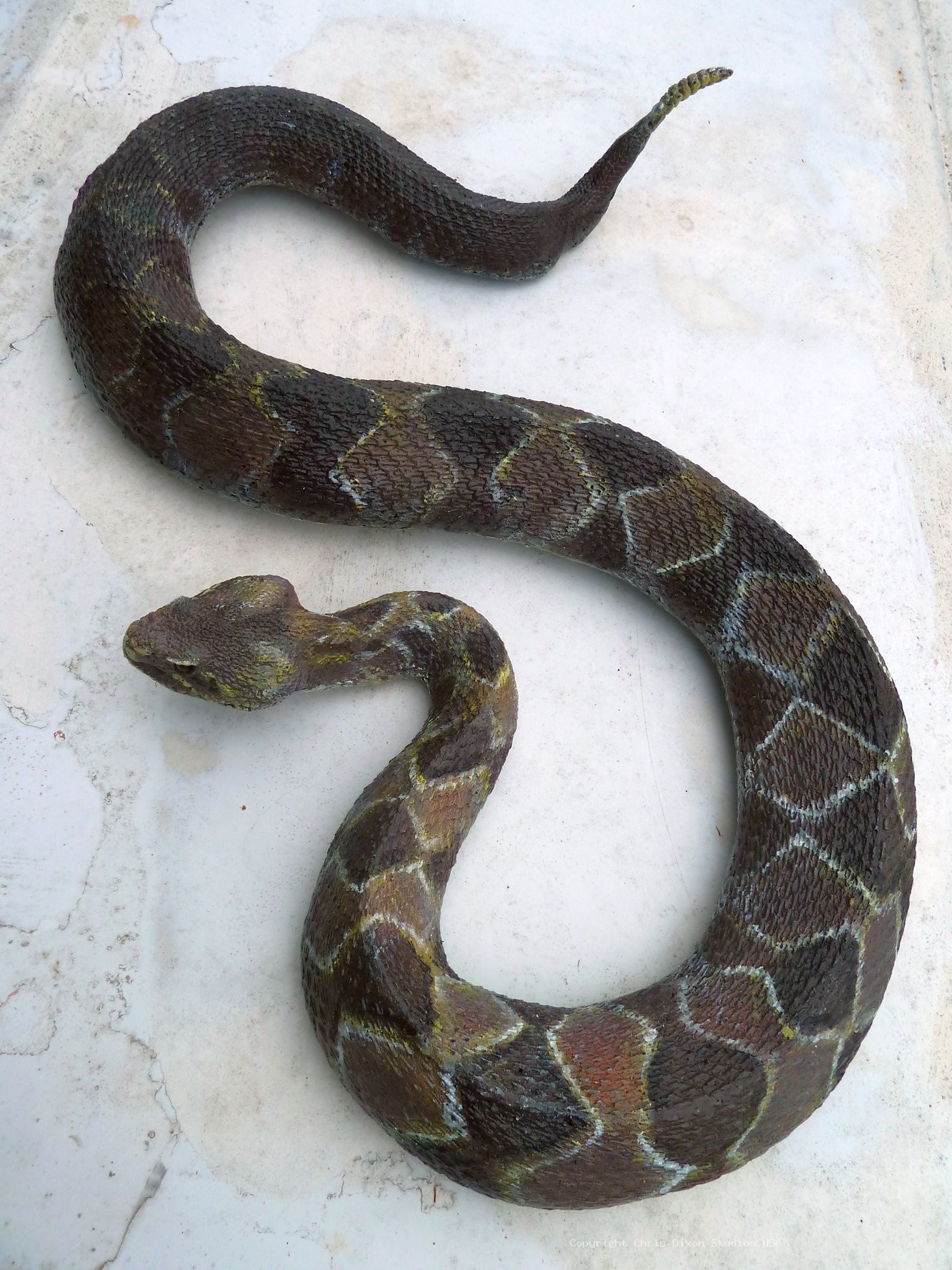 Timber Rattlesnake 650
