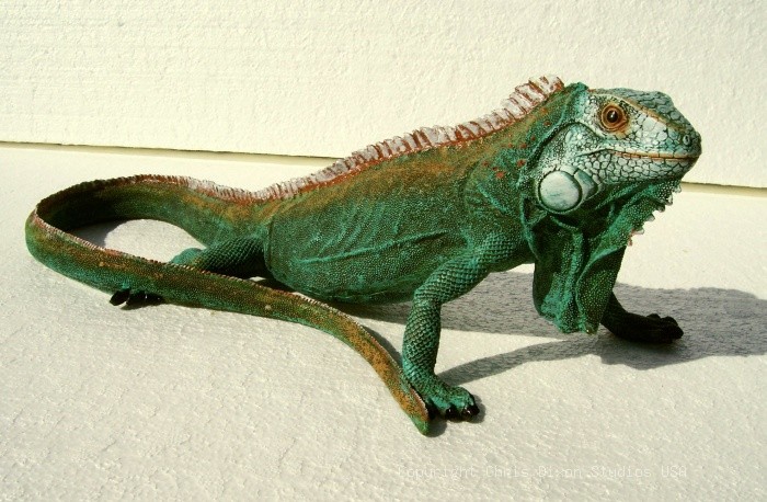 Iguana Lizzard 18x8 2