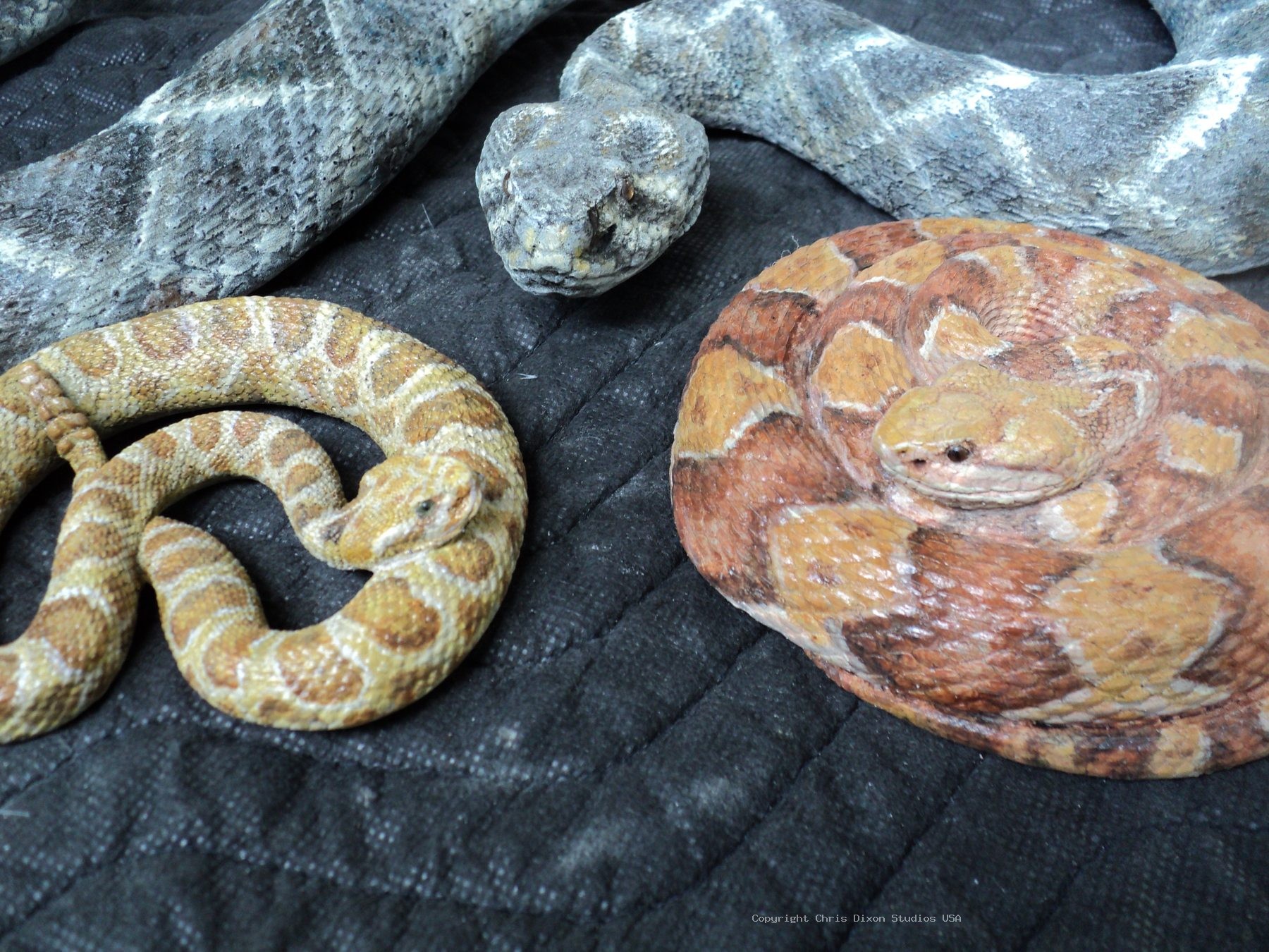 Timber Prarie Rattlesnakes Copperhead1
