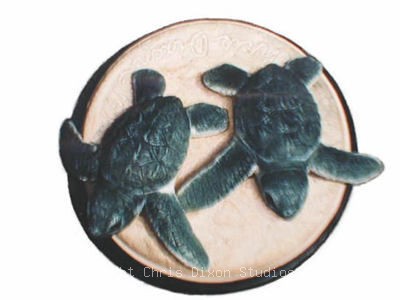 3 2 Pr Green Turtles