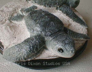 3 2 Prgr Turtleshead300235