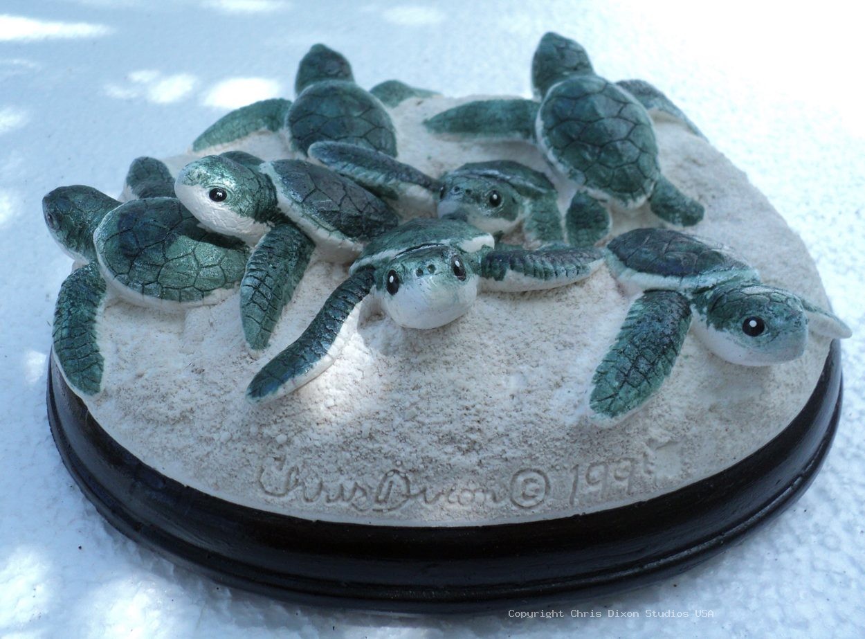 3 3 Grn Turtle Nest85