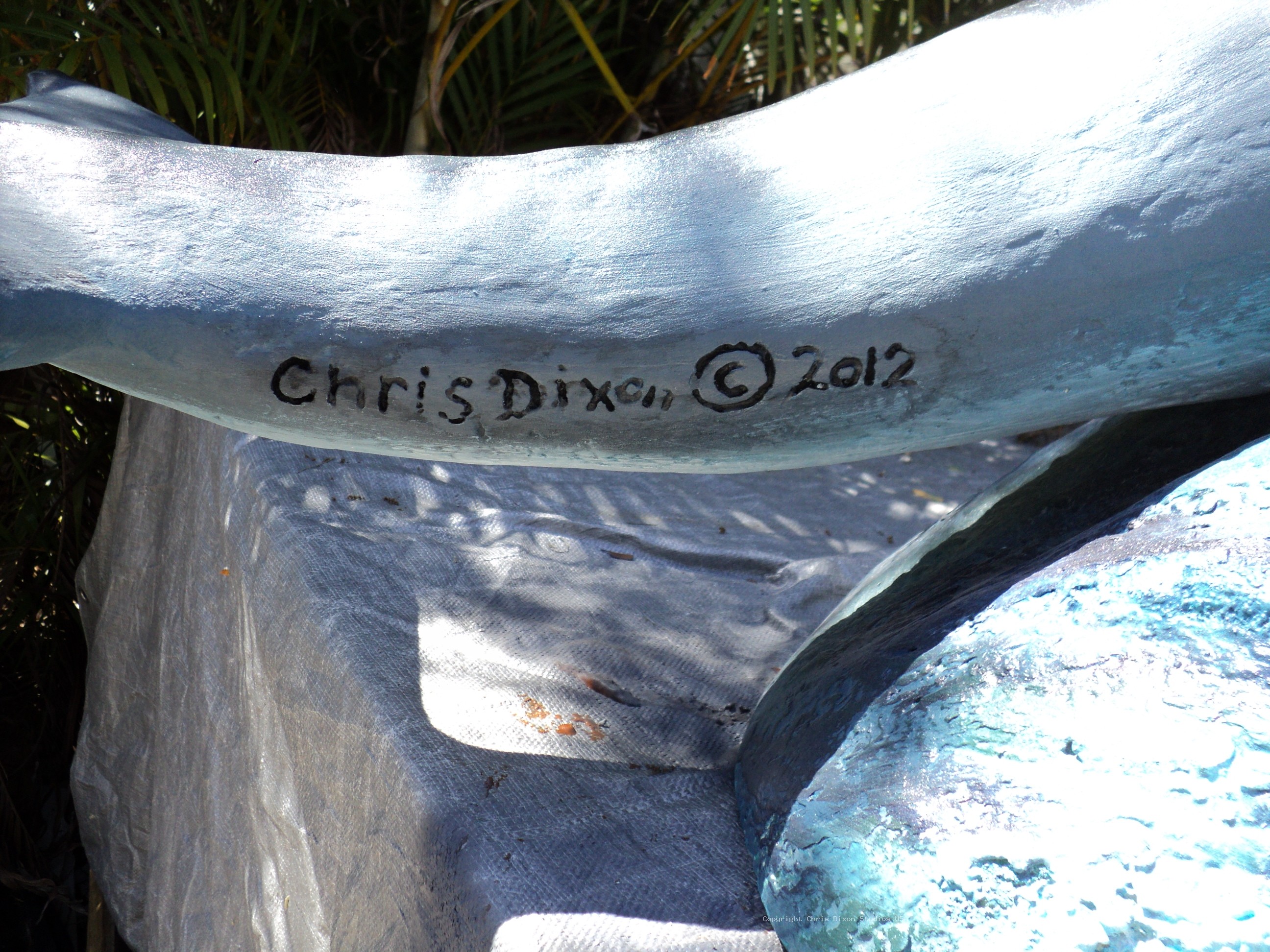 Dolphin4 5 Copyright Chris 