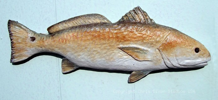 17 3 Redfish Channelbass