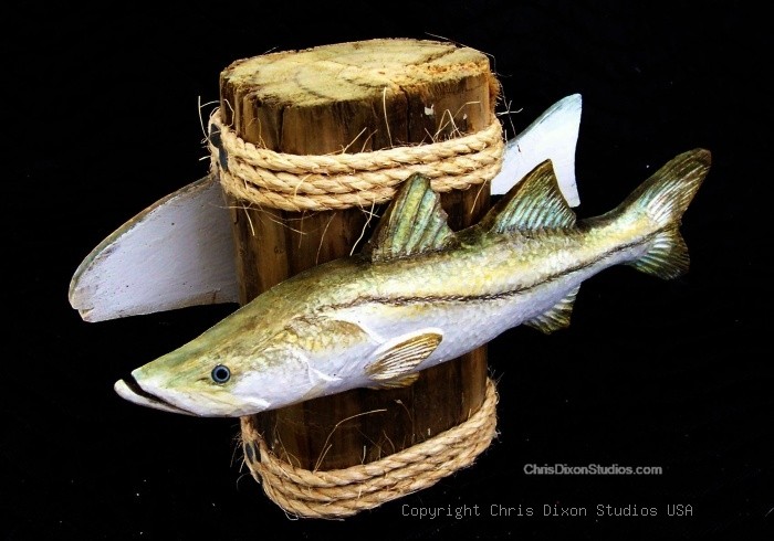 Baracudda Redfish Doubble Piling