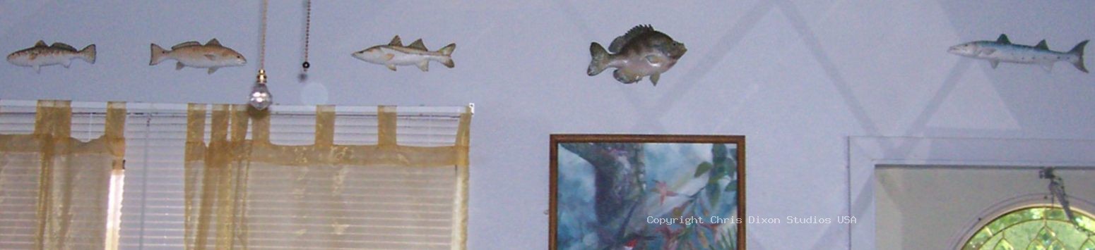 Fish Freize Wall Ceiling