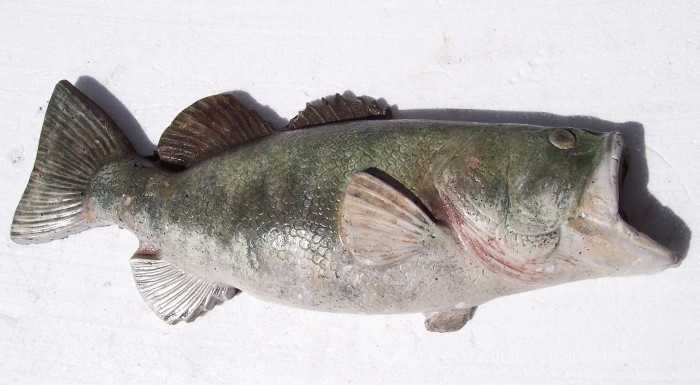 Fish Bass Largemouth 22x9