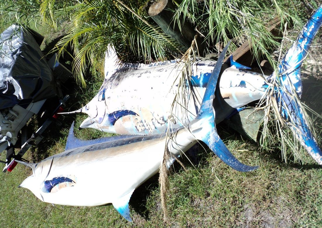 Marlin Swardfish 14ft 75