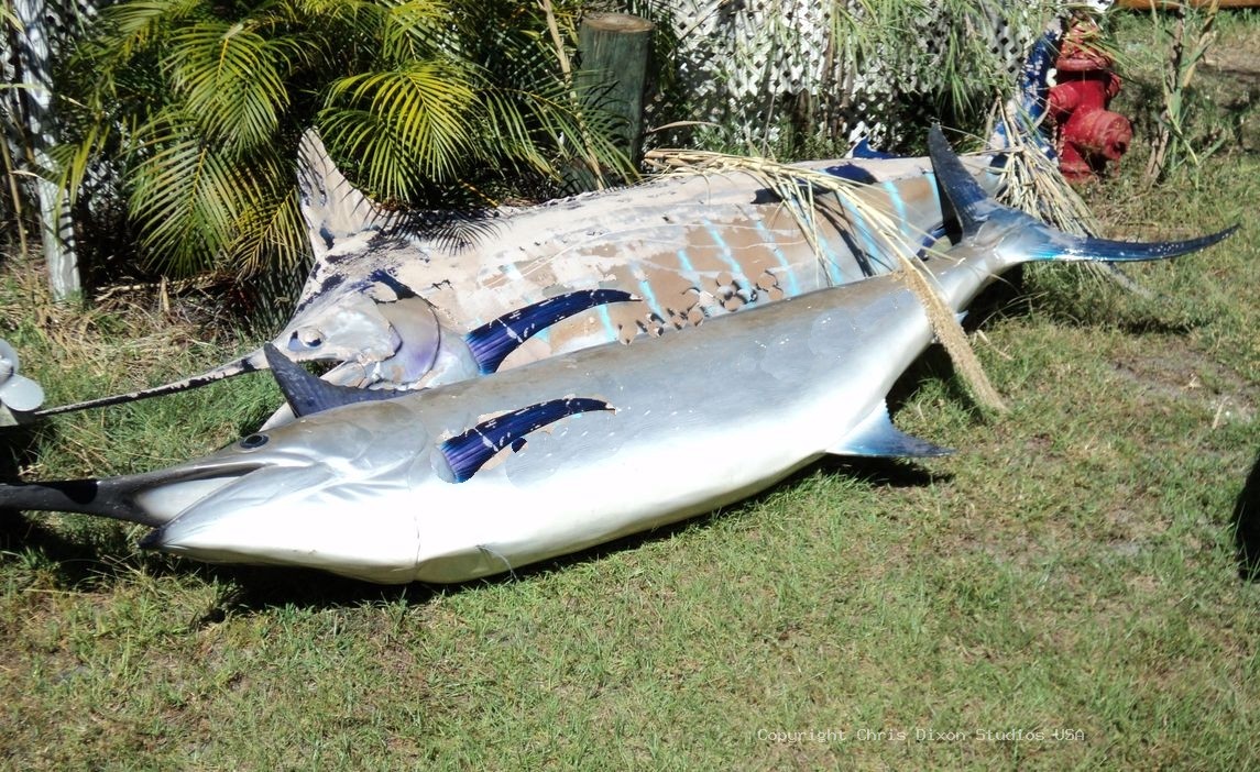 Marlin Swardfish 14ft 77