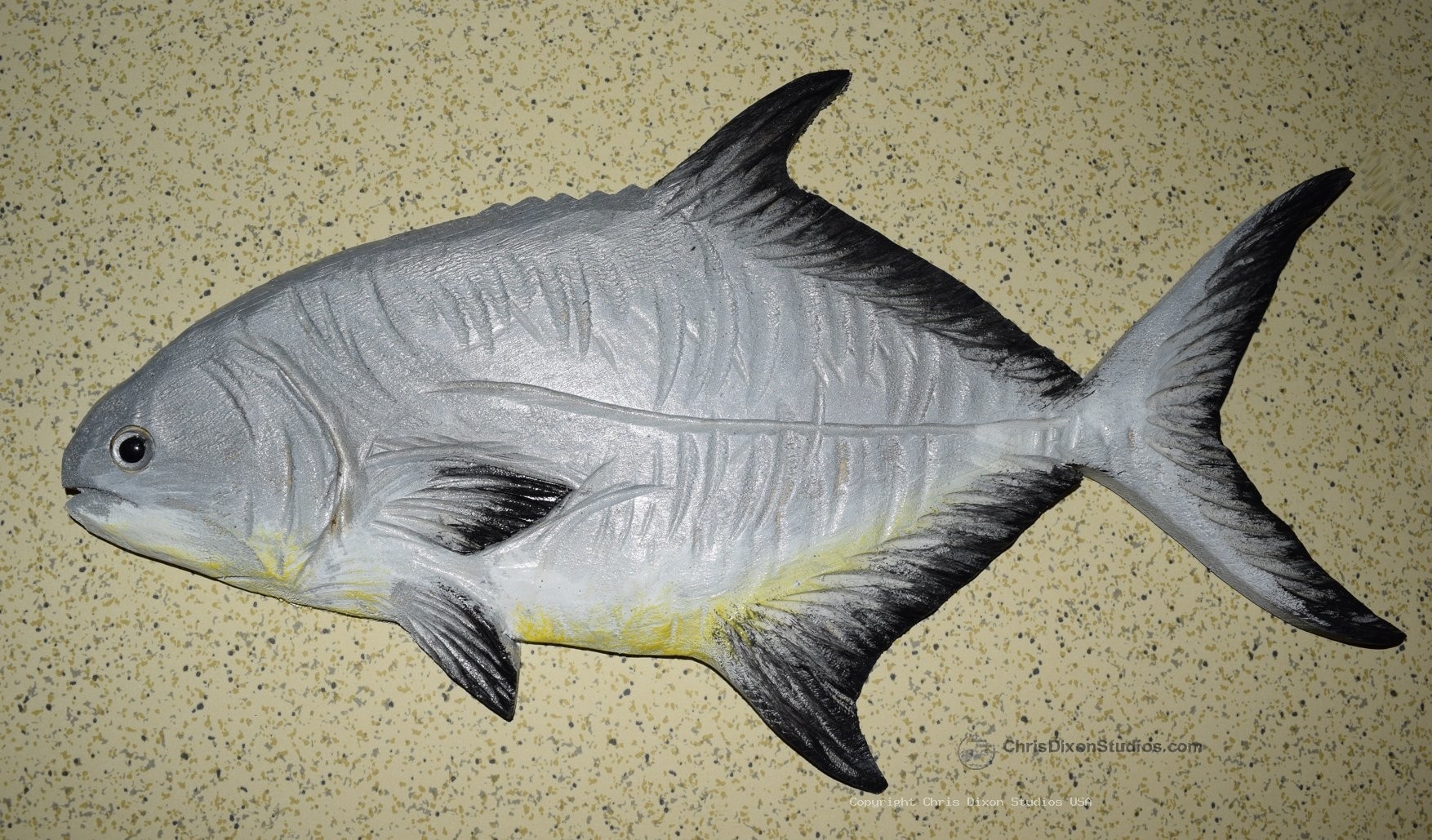 Pompano Fish Wood 16x9 023