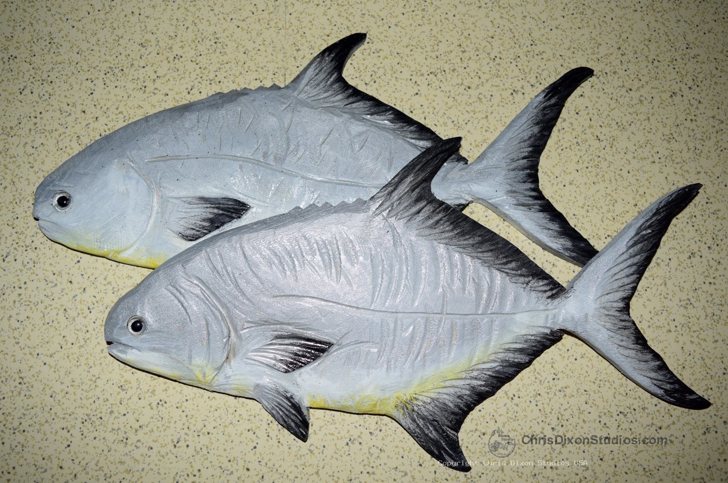 Pompano Fish Wood 16x9 073