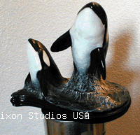 11 Orcaani Killerwhale 200193