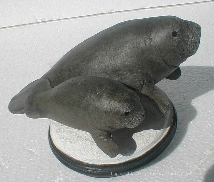 2 3 Manatees80