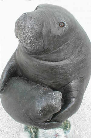 2 5 Lgmanateenbaby300454