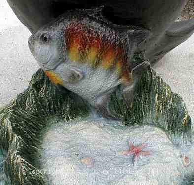 2 5 Lgmanateenbabyfish394377