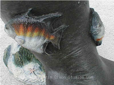 2 5lgmanateenbabybackfish400298